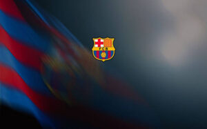 images (13)